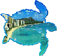 Animated sea turtle.