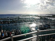 Ilikai Marina view.