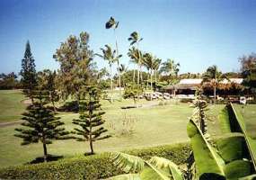 Turtle Bay condo view.